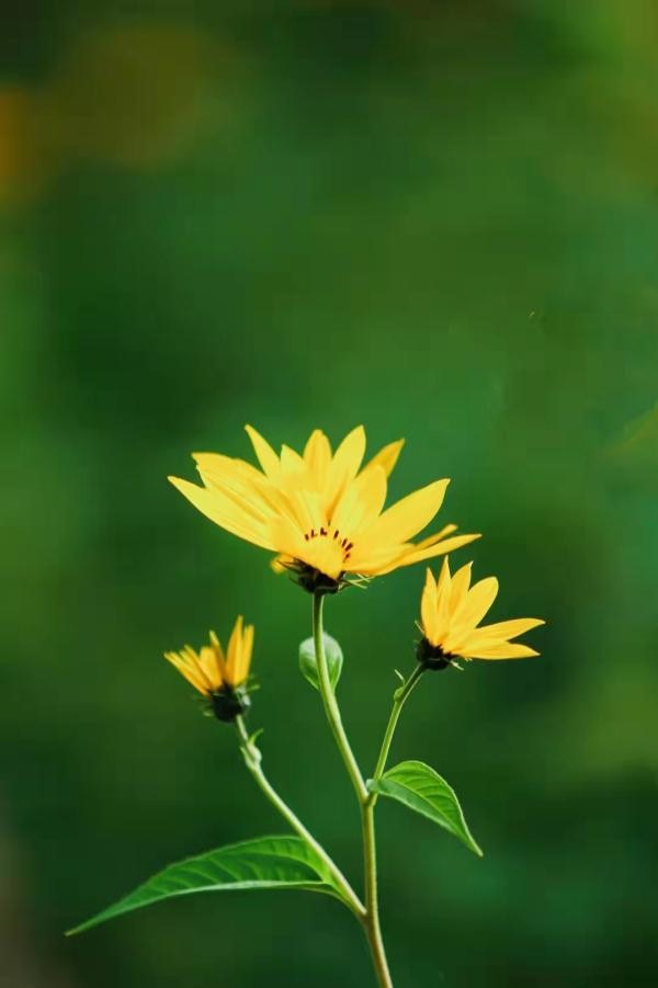 1631860754244147.jpg 1631860754244147.jpg